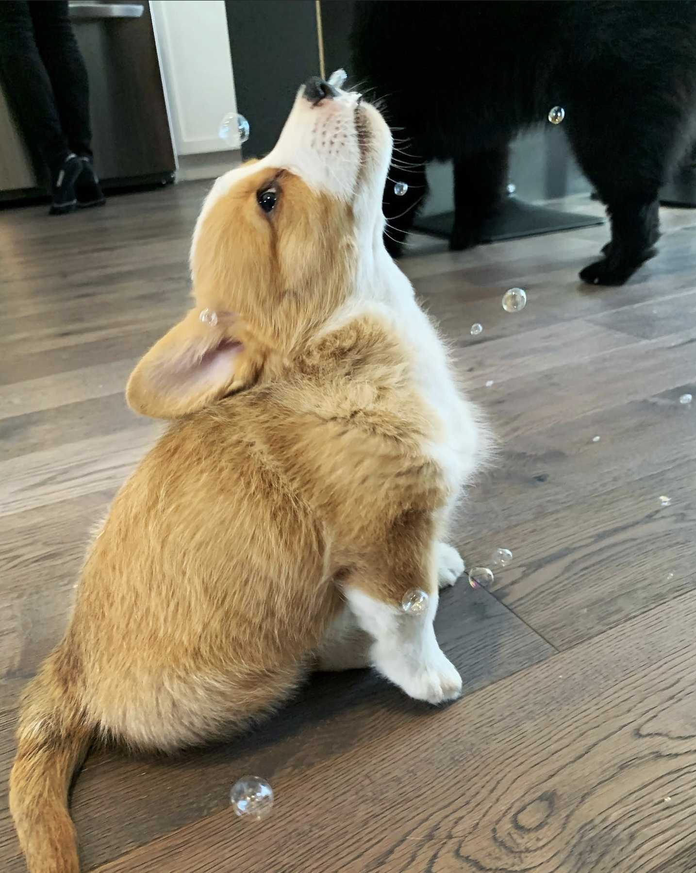 Facebook Publish Test